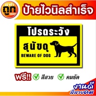 Vinyl Sign Beware Of Fierce Dogs Of Ready-Made Sun-Resistant Rain-Resistant 1 Year
