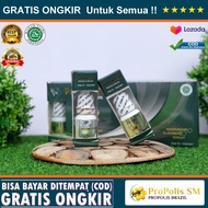 Solusi Untuk Obat Gendang Telinga bocor Gendang Telinga sobek/ robek Congek Telinga Bernanah Telinga