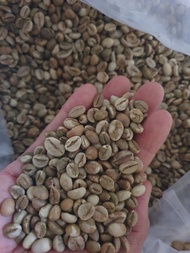 1 Kg Biji Kopi Green Bean Robusta Gayo Robusta Coffee