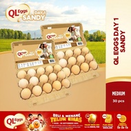 QL Eggs Day 1 Sandy - Medium 30pcs Fresh Egg Farm Fresh Egg Telur Segar