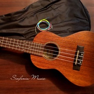 Ukulele Grande Concert (Brown)