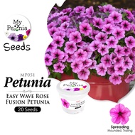 MyPe2nia [Petunia Seeds] Easy Wave Rose Fusion Petunia (20 Seeds)