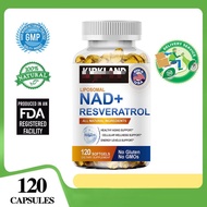 NAD+ Capsules – Supports Energy Production, Anti-Aging & Cellular Health