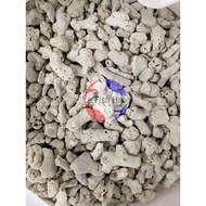 BATU KARANG CORAL STONE 500G FOR AQUARIUM FISH TANK & POND