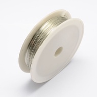 1Roll Round Iron Wire Silver 24 Gauge 0.5mm about 7m/roll