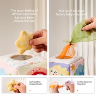 Baby Sensory Box | Montessori Early Education Toy | Infant Toy | Sensory Development Toy | Suitable 