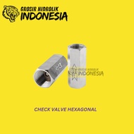 3/8'' CHECK VALVE ONE WAY VALVE NO RETURN VALVE HEXAGONAL THREAD 3/8'''