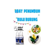 Bird Feather Medicine Overcoming Bird Dull Feathers