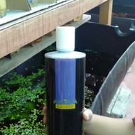 AKIRA BETTA FISH D19 ORIGINAL 🐠