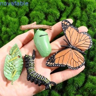 NOVAFABLE​ Growth Cycle Model Butterfly Growth Cycle Plastic Models Chicken Spider For Kid Kids Toy 