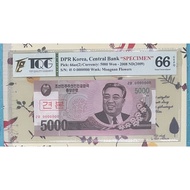 5000 Won SPECIMEN 2008