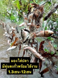 มองดักปลามีทุ่นตะกั่วพร้อมใช้งานรุมป้าย75/200เมตร(1.3เซน-14เซน)