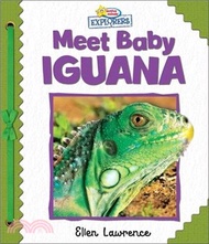 2436.Active Minds Explorers: Meet Baby Iguana