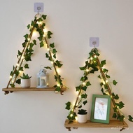 Bedroom Wall Cross-Border led Light Plant Rack Ivy Hanging Display Rack Wooden Green Plant Rack Plan