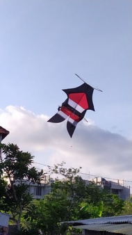 layangan bebean kain knockdown 15 metersdh termasuk SAWANGANPITA DAN TALI KAMA/GOCI