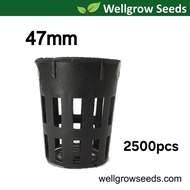 47MM Hydroponic Mesh Pots / Hydropots / Net Pots / Net Cup / Pot Hidroponik (2500 pieces)