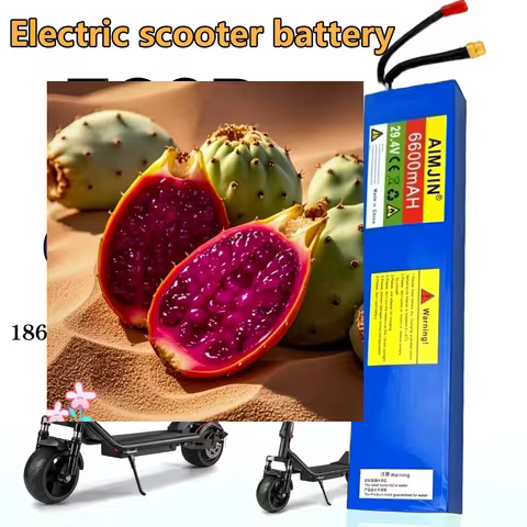 7S2P 29.4V 6600mAh Battery Pack 18650 Rechargeable battery with BMS Suitable for Electric Scooter Ba