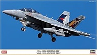 Hasegawa VAQ-131 Lancers Plastic Model 1/72 US Navy EA-18G Growler