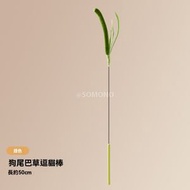 Others - （2件）貓玩具 狗尾巴草 超長逗貓桿 羽毛桿 鋼絲貓玩具 羽毛逗貓棒 柔韌-綠色 / 狗尾巴草逗貓棒