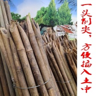 Bamboo Pole Free Shipping Vegetable Matching Rack Railing Gardening Fence Bamboo Fence Bamboo Fence 
