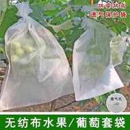 Bag Fruit Fig Peach #