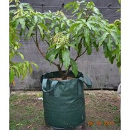HIJAU Easy Grow Green 35 Liter Planter Bag