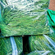 22 Years Drying North Timothy Grass 500g Free Shipping Bunny Hay Chinchilla Guinea Pig Food Grass Fe