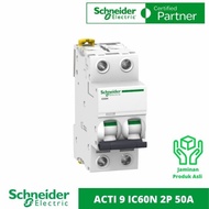 MCB 2P 50A 2 Phase 50 Ampere Original SNI Schneider IC60N