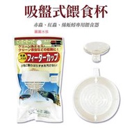 ❤餵食杯❤日本 Hikari 高夠力  吸盤式 紅蟲 赤蟲 冷凍紅蟲 絲蚯蚓 餵食圈 餵食器具 圓圓水族