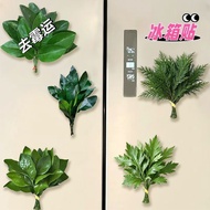 Good Things Recommended Grapefruit Leaf Wormwood Leaf Side Cypress Leaf Refrigerator Sticker Acrylic
