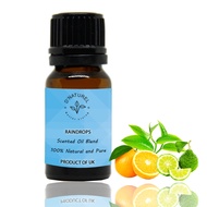 D’NATUREL – RAINDROPS SCENTED OIL BLEND