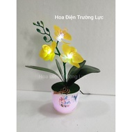 Decorative Orchids With 3 Flowers Lights - Fake Desktop Flowers