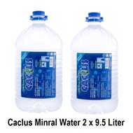 Cactus Natural Mineral Water 2 x 9.5 Liter