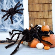 Spider&Halloween Halloween Fake Spider Decorations Spider Web Halloween Spider Halloween Decorations