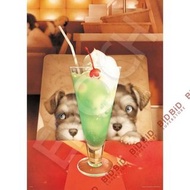 村松誠 忌廉梳打和小狗 Puzzle 砌圖 500pcs 插畫家 村松誠 日本製 Jigsaw Puzzle 拼圖 狗狗 狗仔 汪星人 Dog 毛孩