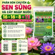 Specialized Fertilizer for Lotus and Water Lily (package of 6-24 tablets) NPK 16-16-8+TE for submerg