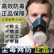 Gas Mask Detox Mask Spray Paint Pesticide Chemical Decoration Gas Formaldehyde Anti-dust Protective 