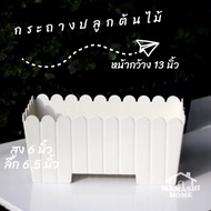 Long Pot Rail Width 13 Inches 33 Cm. Plant Pots Plastic For Planting Vegetables Trees