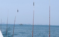 [Sewa Kapal Pribadi untuk Memancing di Laut di Pelabuhan Kagoshima Shinko/Pelabuhan Ibusuki Yamakawa