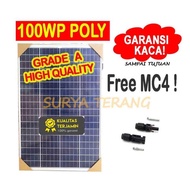SOLAR PANEL SURYA 100WP POLY SOLAR CELL 100WP POLY + PACKING KAYU - DAMAISHOP5
