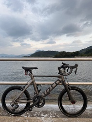 Tern單車
