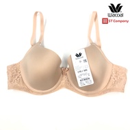 Wacoal Basic Bra รุ่น WB9925 (รหัสเดิม WB 9895) เต้าseamless มีโครง ซับฟองน้ำบาง ตะขอ 2 ตัว side fit