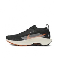 Pegasus Trail 5 GTX Men Running Shoes, Low-Top FQ0908-007