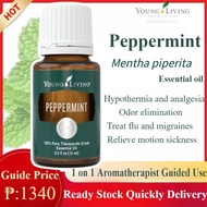 Young Living Pure Peppermint Essential Oil 15ML｜READY STOCK