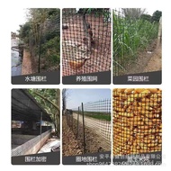 Plastic Plastic Fence Mesh Plastic Fence Mesh