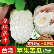 Apple Bitter Gourd Seed Four Seasons Sweet Fruit Bitter Gourd Seed Taiwan Apple Bitter Gourd Seed Ve