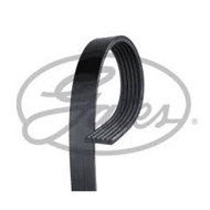 Front Belt BENZ 124 W124 E-CLASS W124 G-CLASS W463 S-CLASS W140 SL R129 M119 A8 D4 Q7 3.0 TDI