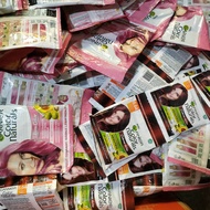 cat rambut garnier