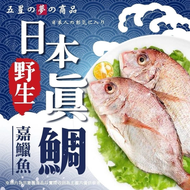 F010 日本真鯛/嘉鱲魚(5-6隻/600g/包)