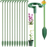 10PCS Plant Supports Stands for Succulent/Orchid Flower Holder Pole Potted Fixing Rods Leaf Protecti